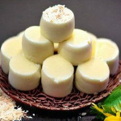 Coconut Kulfi 1 Coconut Kulfi