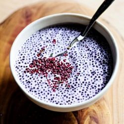 Jamun Chia Pudding 1 Jamun and Chia seed puding